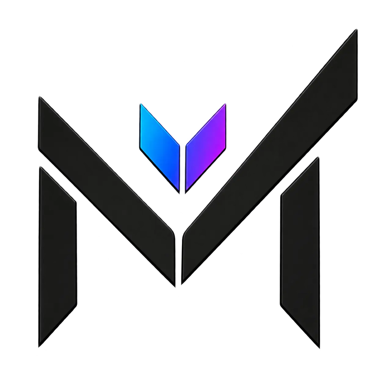 MatricsMania Logo